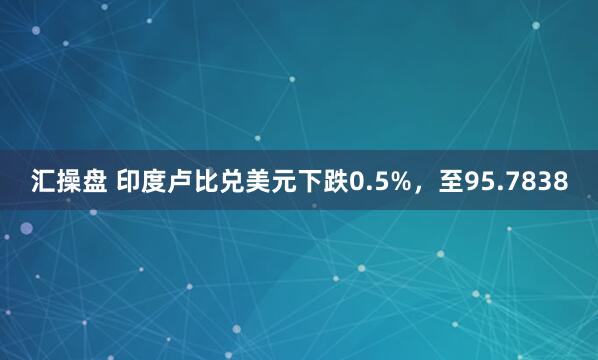 汇操盘 印度卢比兑美元下跌0.5%，至95.7838