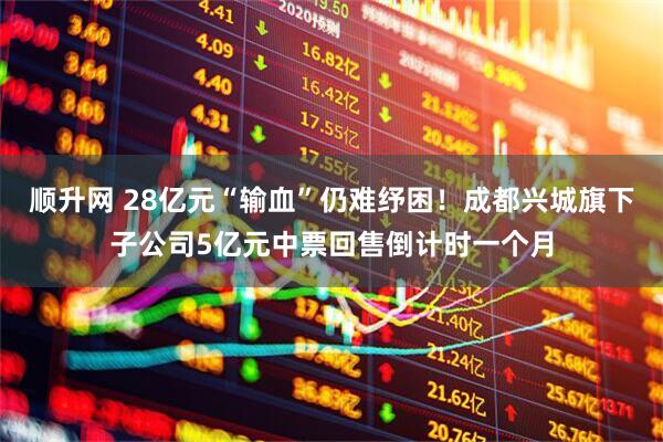 顺升网 28亿元“输血”仍难纾困！成都兴城旗下子公司5亿元中票回售倒计时一个月