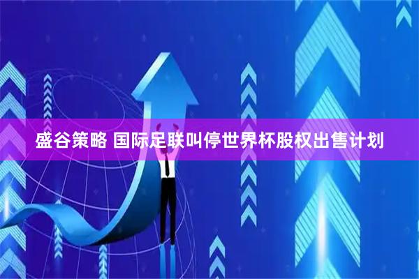 盛谷策略 国际足联叫停世界杯股权出售计划